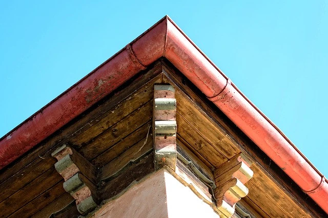 Gutter cleaning Dunedin and Mosgiel 